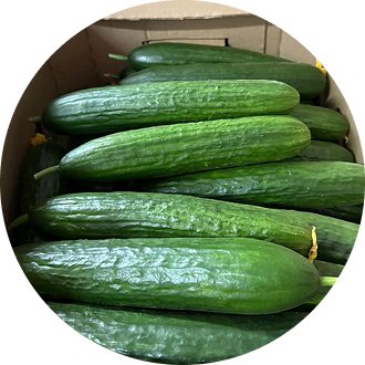 Огруцы Рава